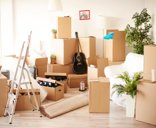 moving company in Auckland